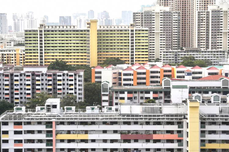 nz hdb 250374